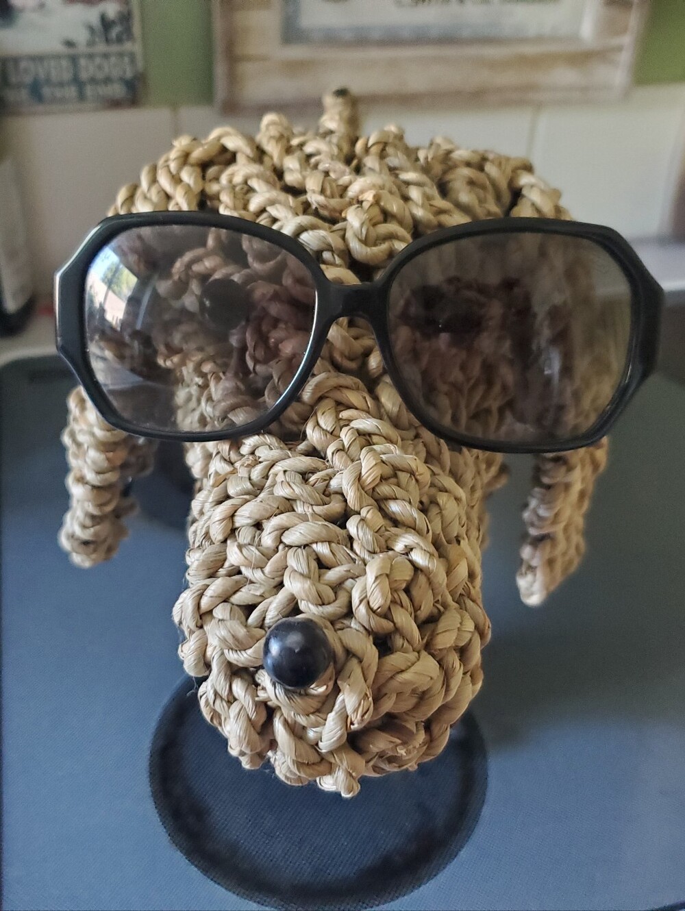 Coach Sunglasses
